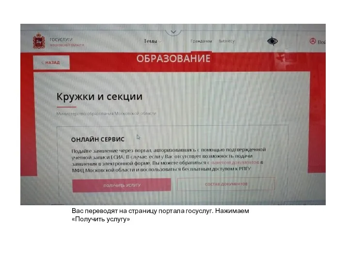 Вас переводят на страницу портала госуслуг. Нажимаем «Получить услугу»