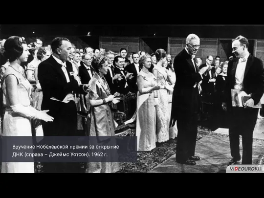 Вручение Нобелевской премии за открытие ДНК (справа – Джеймс Уотсон). 1962 г.