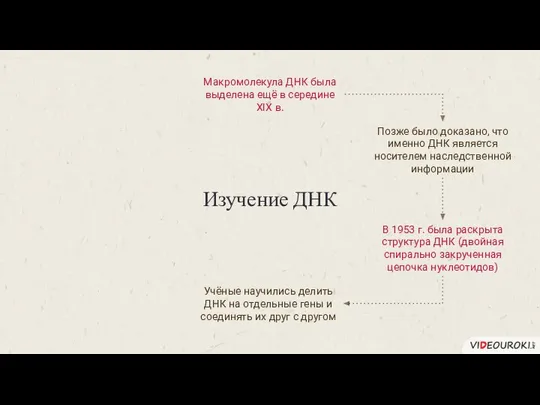 Изучение ДНК Макромолекула ДНК была выделена ещё в середине XIX в.