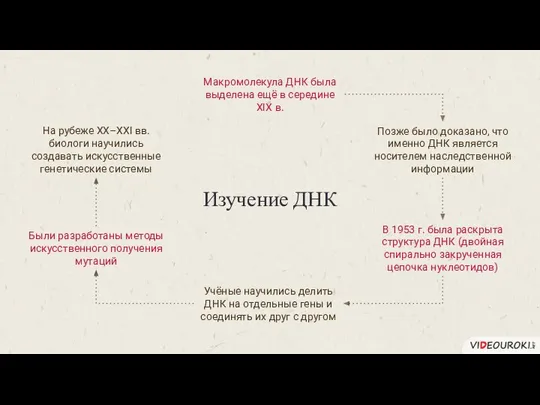 Изучение ДНК Макромолекула ДНК была выделена ещё в середине XIX в.