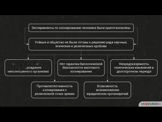 Эксперименты по клонированию человека были приостановлены Учёные и общество не были