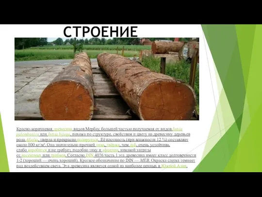 Красно-коричневая древесина видов Мербау, большей частью получаемая от видов Intsia palembanica