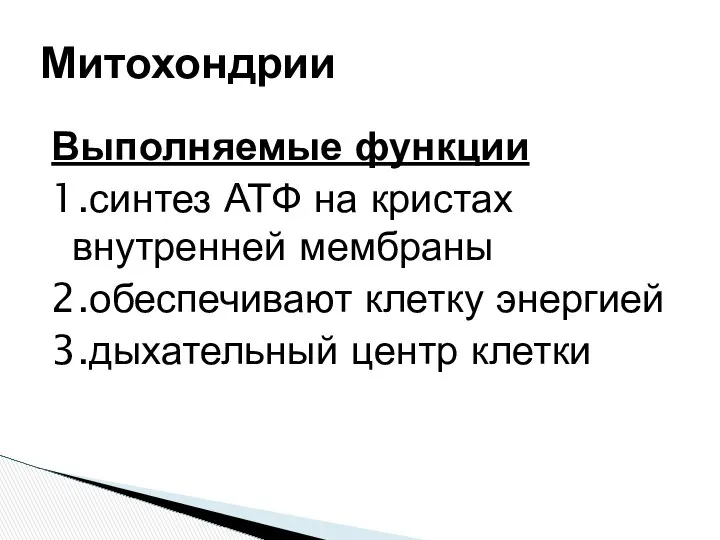 Выполняемые функции 1.синтез АТФ на кристах внутренней мембраны 2.обеспечивают клетку энергией 3.дыхательный центр клетки Митохондрии