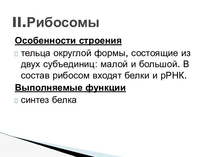 II.Рибосомы Особенности строения тельца округлой формы, состоящие из двух субъединиц: малой