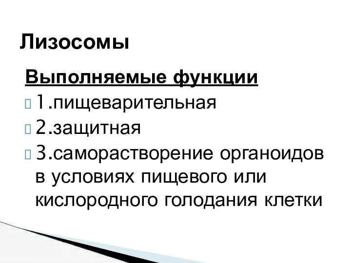 Выполняемые функции 1.пищеварительная 2.защитная 3.саморастворение органоидов в условиях пищевого или кислородного голодания клетки Лизосомы