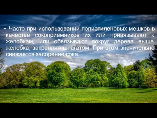 Часто при использовании полиэтиленовых мешков в качестве сокоприемников их или привязывают