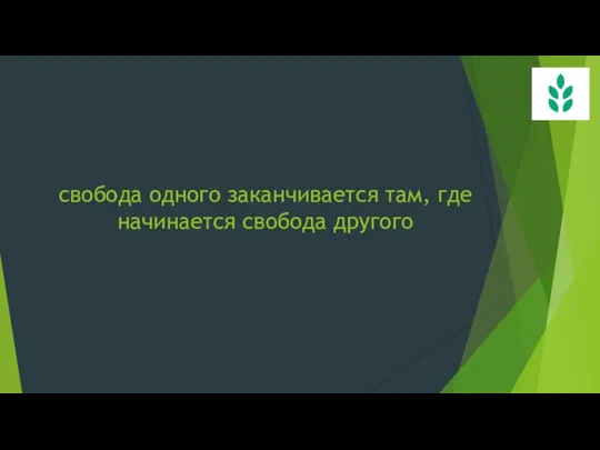 свобода одного заканчивается там, где начинается свобода другого