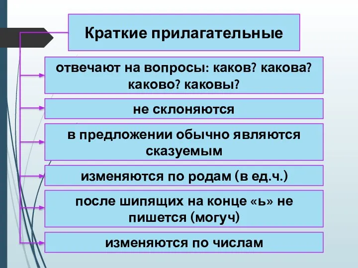 отвечают на вопросы: каков? какова? каково? каковы? изменяются по числам изменяются