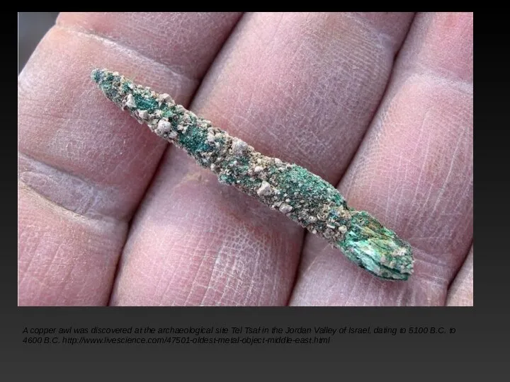 A copper awl was discovered at the archaeological site Tel Tsaf