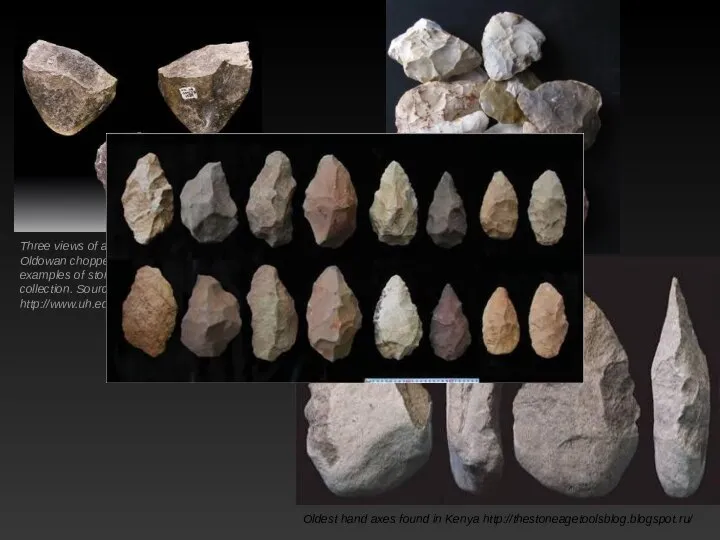 Three views of a 1.7 million year old Oldowan chopper —