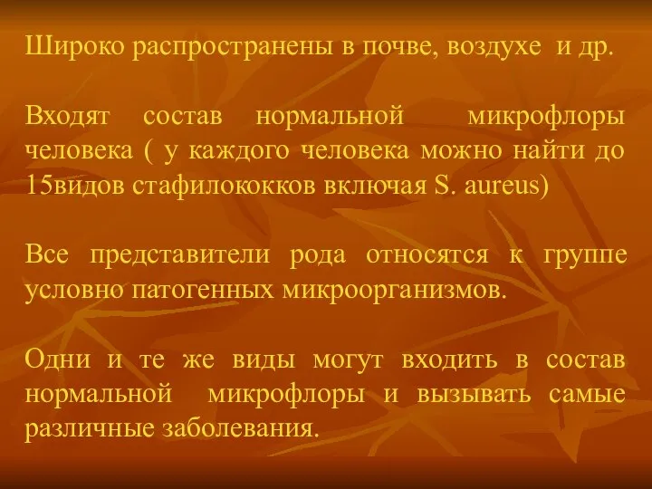 Широко распространены в почве, воздухе и др. Входят состав нормальной микрофлоры