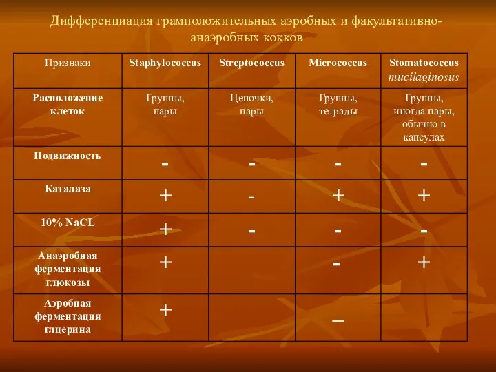 Дифференциация грамположительных аэробных и факультативно-анаэробных кокков