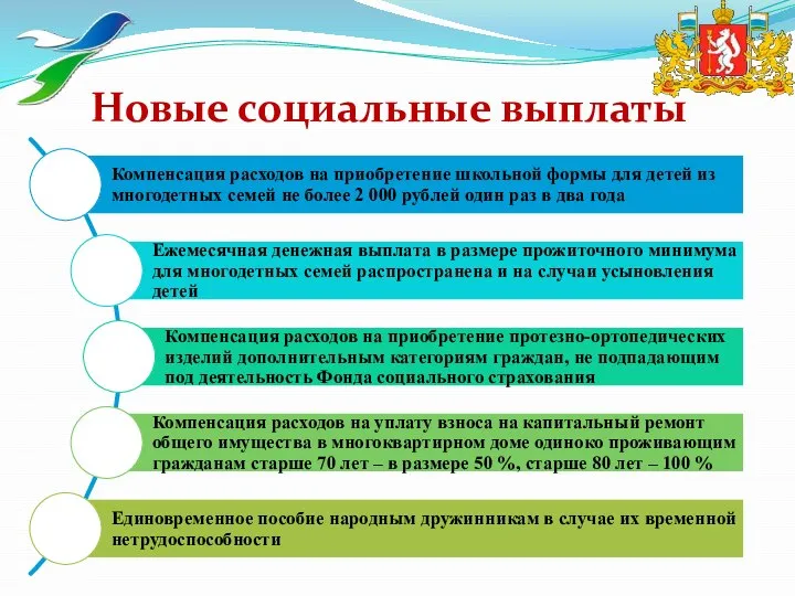 Новые социальные выплаты