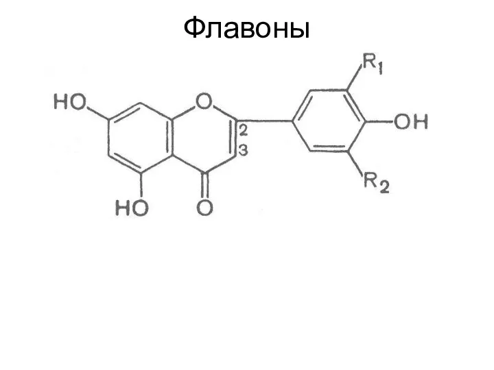 Флавоны