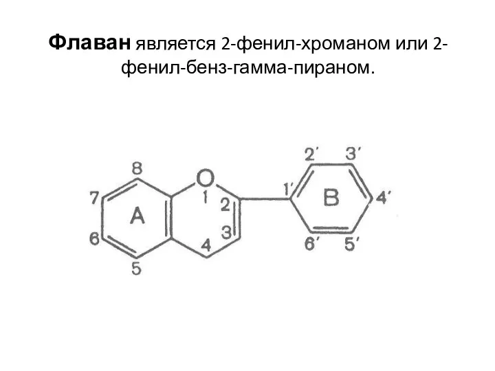 Флаван является 2-фенил-хроманом или 2-фенил-бенз-гамма-пираном.