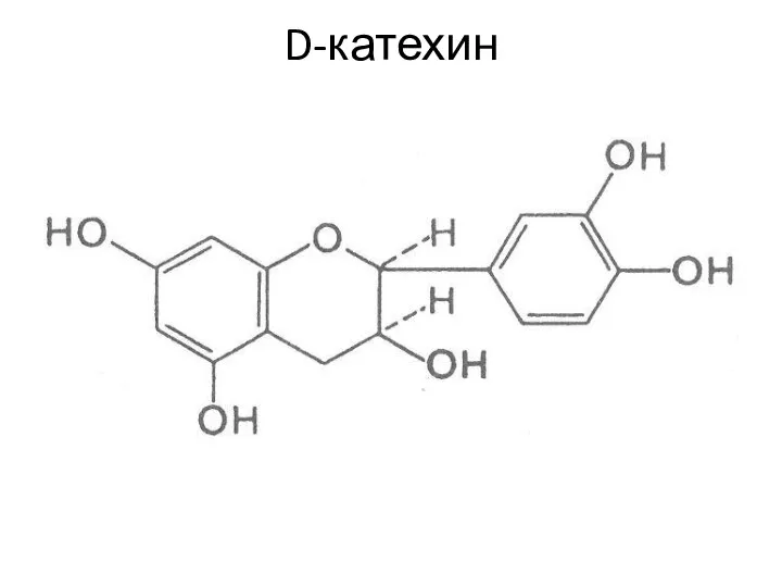 D-катехин