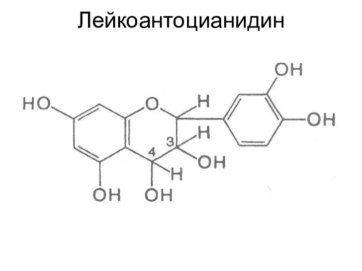 Лейкоантоцианидин