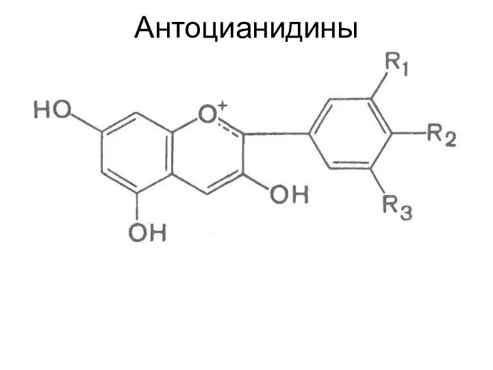 Антоцианидины