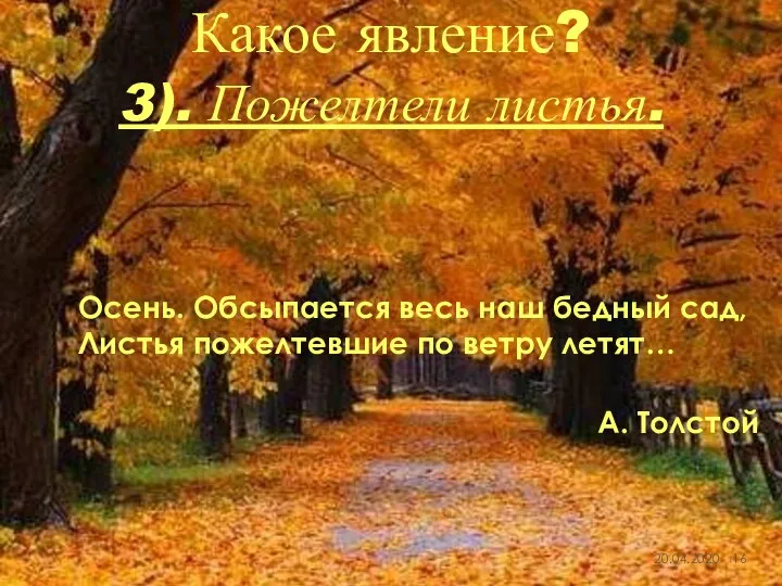 Какое явление? 3). Пожелтели листья. Осень. Обсыпается весь наш бедный сад,