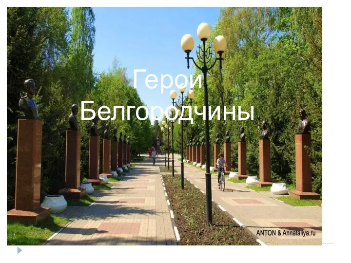 Герои Белгородчины