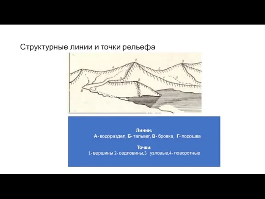 Структурные линии и точки рельефа Линии: А- водораздел, Б- тальвег, В-