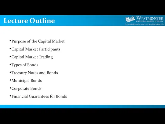 Lecture Outline Purpose of the Capital Market Capital Market Participants Capital