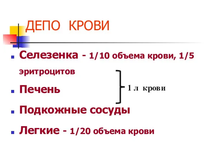 ДЕПО КРОВИ Селезенка - 1/10 объема крови, 1/5 эритроцитов Печень Подкожные