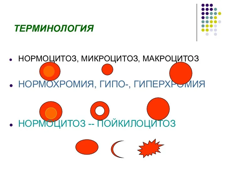 ТЕРМИНОЛОГИЯ НОРМОЦИТОЗ, МИКРОЦИТОЗ, МАКРОЦИТОЗ НОРМОХРОМИЯ, ГИПО-, ГИПЕРХРОМИЯ НОРМОЦИТОЗ -- ПОЙКИЛОЦИТОЗ