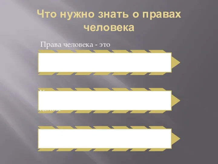 Что нужно знать о правах человека