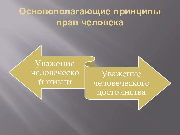 Основополагающие принципы прав человека