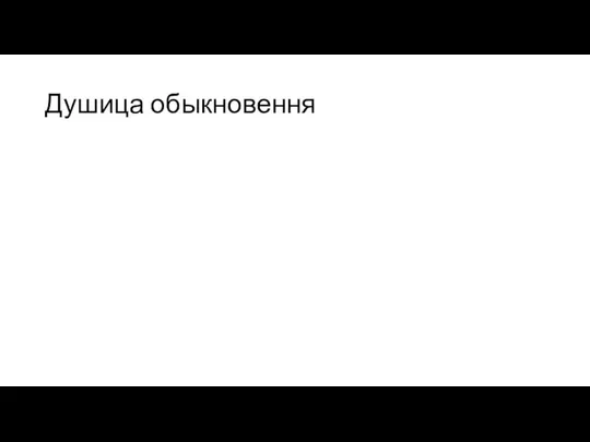 Душица обыкновення