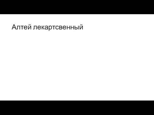 Алтей лекартсвенный