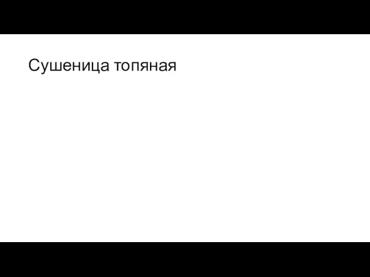 Сушеница топяная