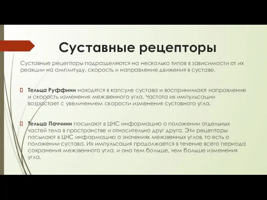 Суставные рецепторы Суставные рецепторы подразделяются на несколько типов в зависимости от