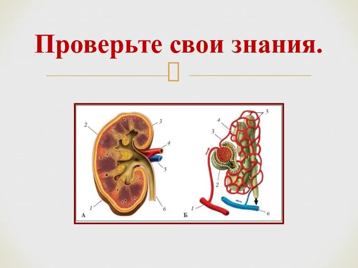 Проверьте свои знания.