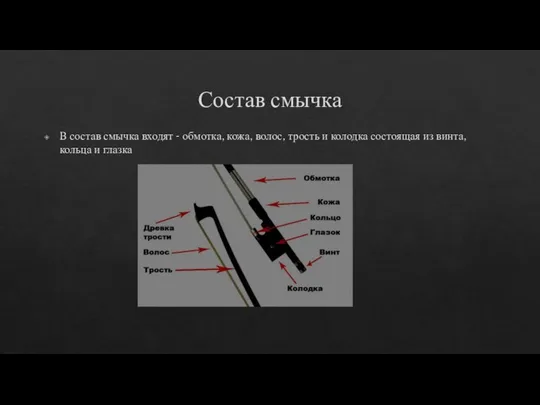 Состав смычка В состав смычка входят - обмотка, кожа, волос, трость