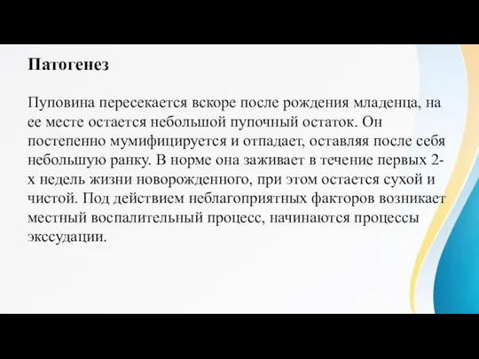 Патогенез Пуповина пересекается вскоре после рождения младенца, на ее месте остается