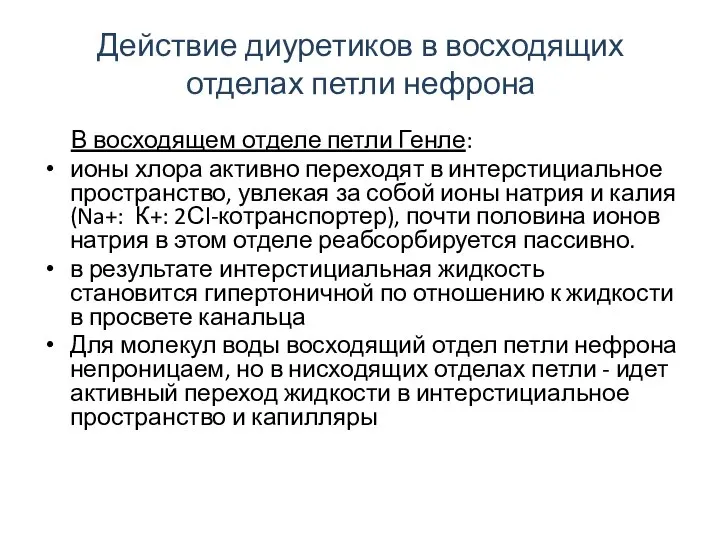 Действие диуретиков в восходящих отделах петли нефрона В восходящем отделе петли