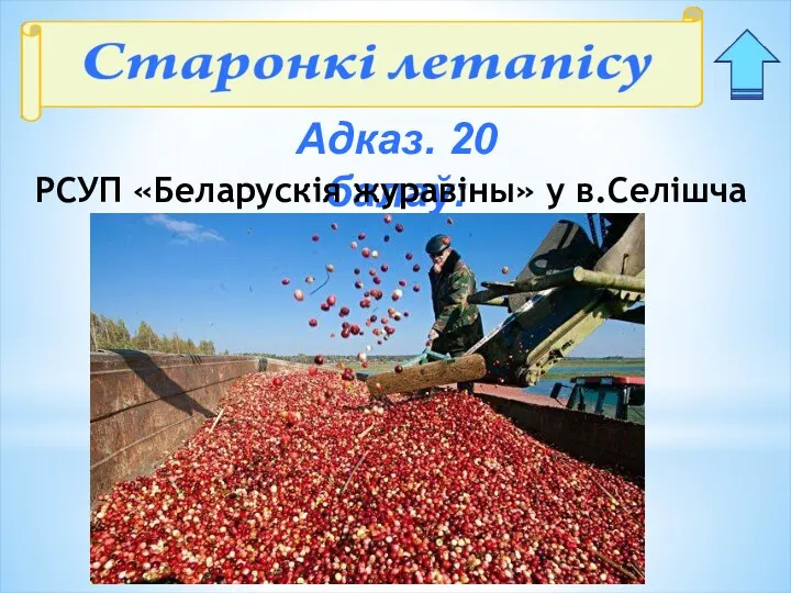 Адказ. 20 балаў: РСУП «Беларускія журавіны» у в.Селішча