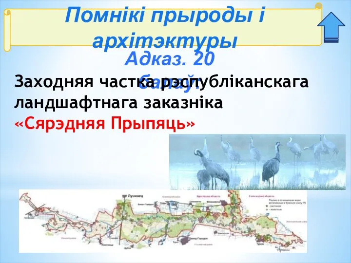 Помнікі прыроды і архітэктуры Адказ. 20 балаў: Заходняя частка рэспубліканскага ландшафтнага заказніка «Сярэдняя Прыпяць»