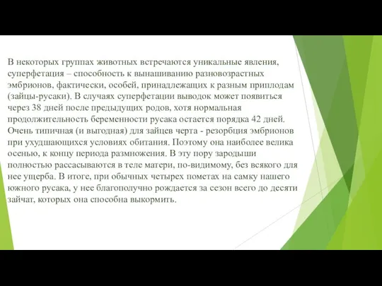 В некоторых группах животных встречаются уникальные явления, суперфетация – способность к