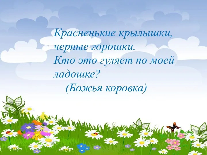 Красненькие крылышки, черные горошки. Кто это гуляет по моей ладошке? (Божья коровка)