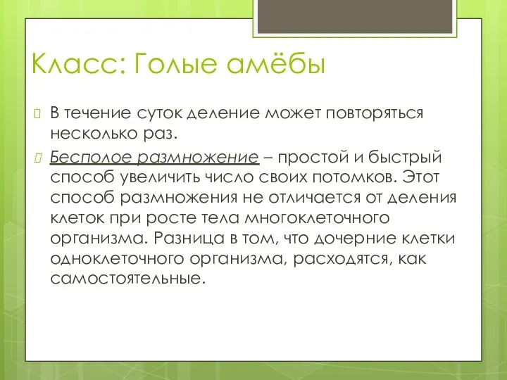 Класс: Голые амёбы В течение суток деление может повторяться несколько раз.