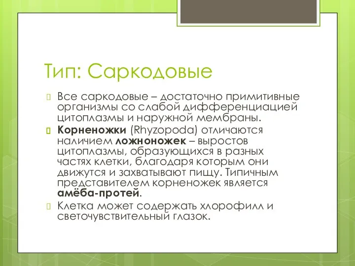 Тип: Саркодовые Все саркодовые – достаточно примитивные организмы со слабой дифференциацией