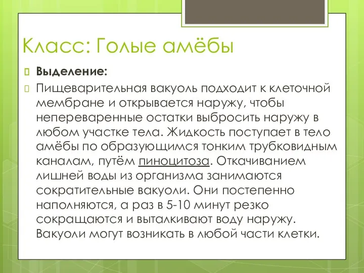 Класс: Голые амёбы Выделение: Пищеварительная вакуоль подходит к клеточной мембране и