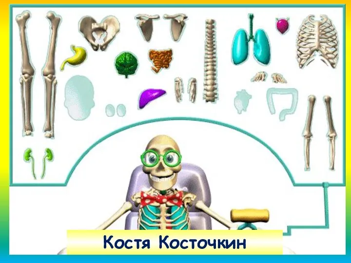 Костя Косточкин