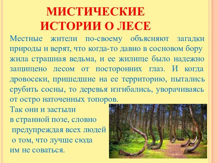 МИСТИЧЕСКИЕ ИСТОРИИ О ЛЕСЕ Местные жители по-своему объясняют загадки природы и