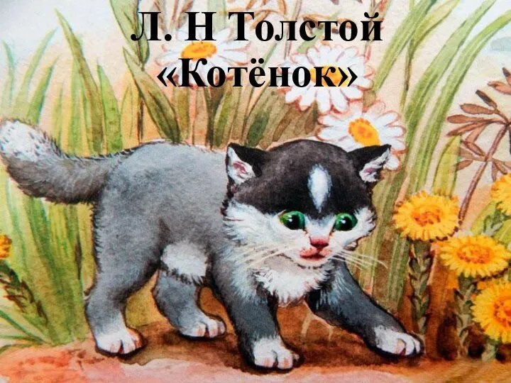 Л. Н Толстой «Котёнок»