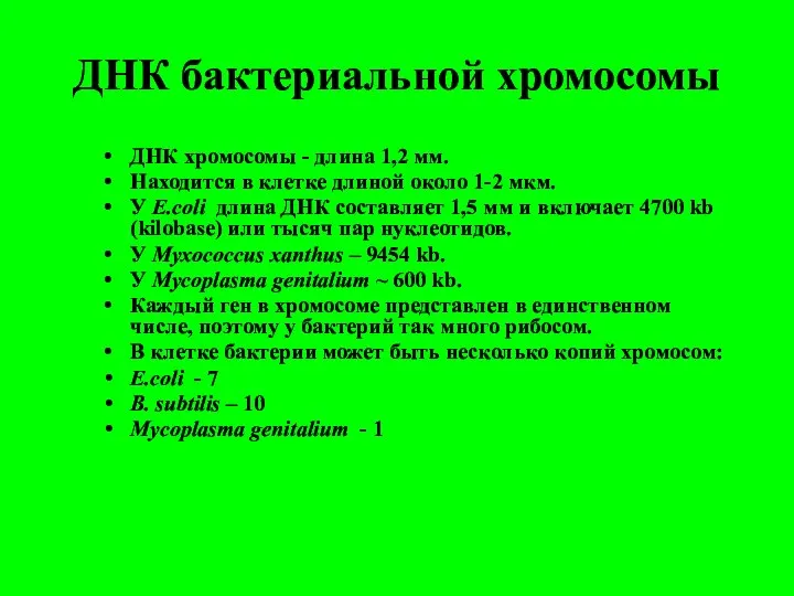 ДНК бактериальной хромосомы ДНК хромосомы - длина 1,2 мм. Находится в