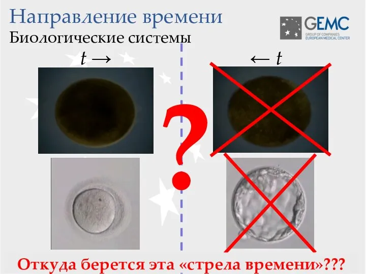 t → Направление времени Биологические системы Возможно ← t Невозможно!!! Откуда берется эта «стрела времени»??? ?